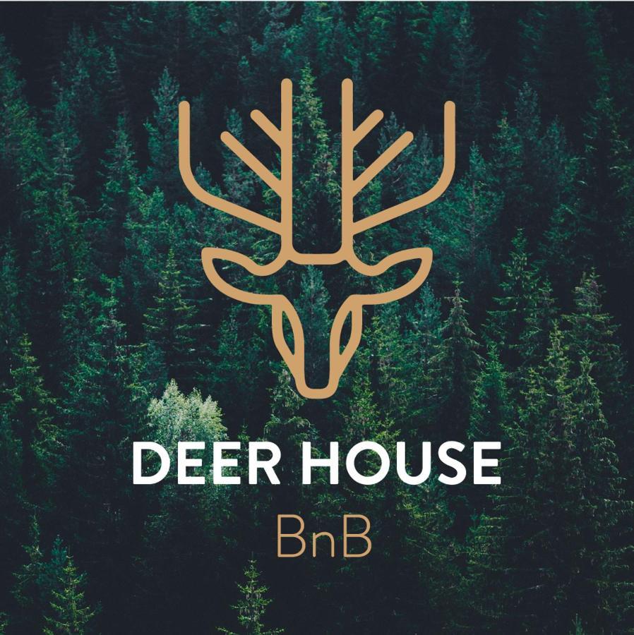 Deer House Bnb Coppito Eksteriør billede